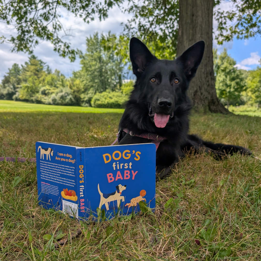 Photo shared by Becky for their Babylist baby registry.