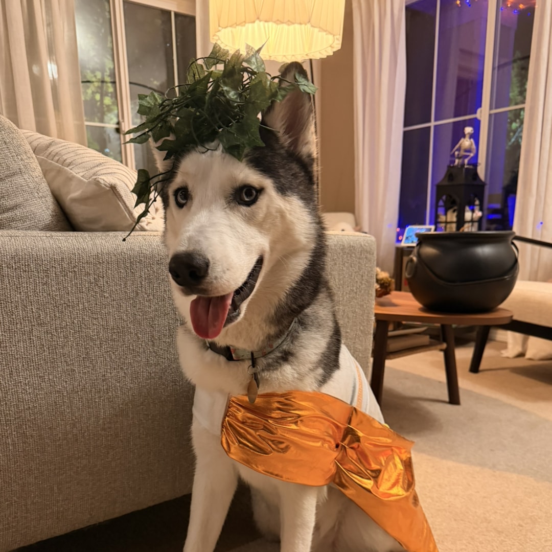 Photo shared by Aseel for their Babylist baby registry.