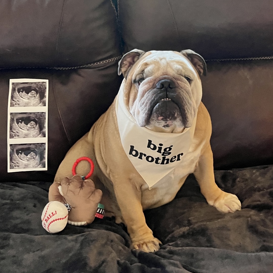 Photo shared by Lauren for their Babylist baby registry.