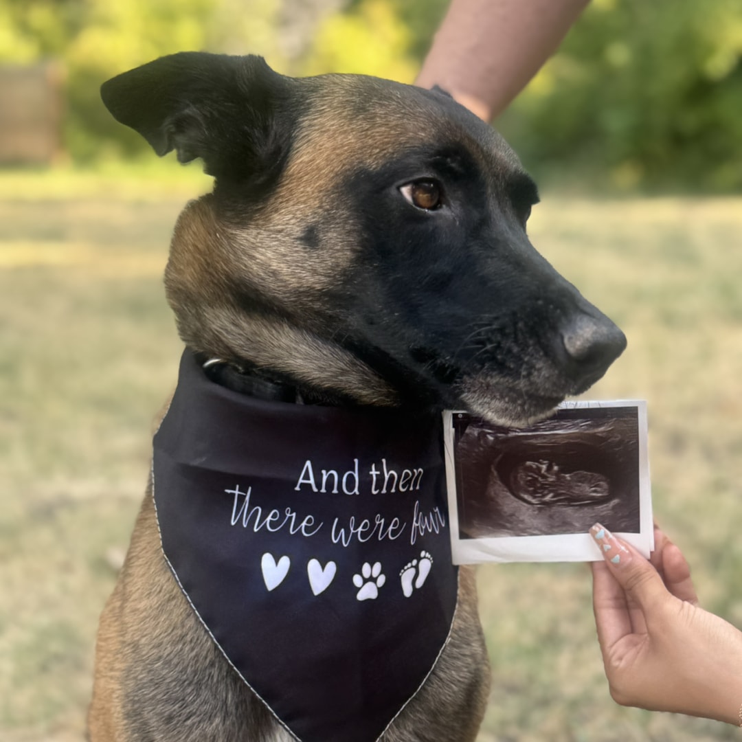 Photo shared by Angelina for their Babylist baby registry.