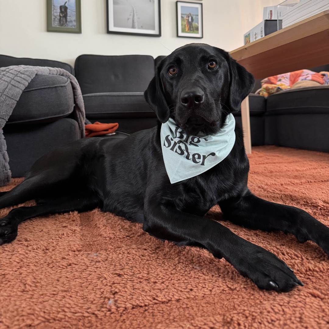 Photo shared by Talia for their Babylist baby registry.