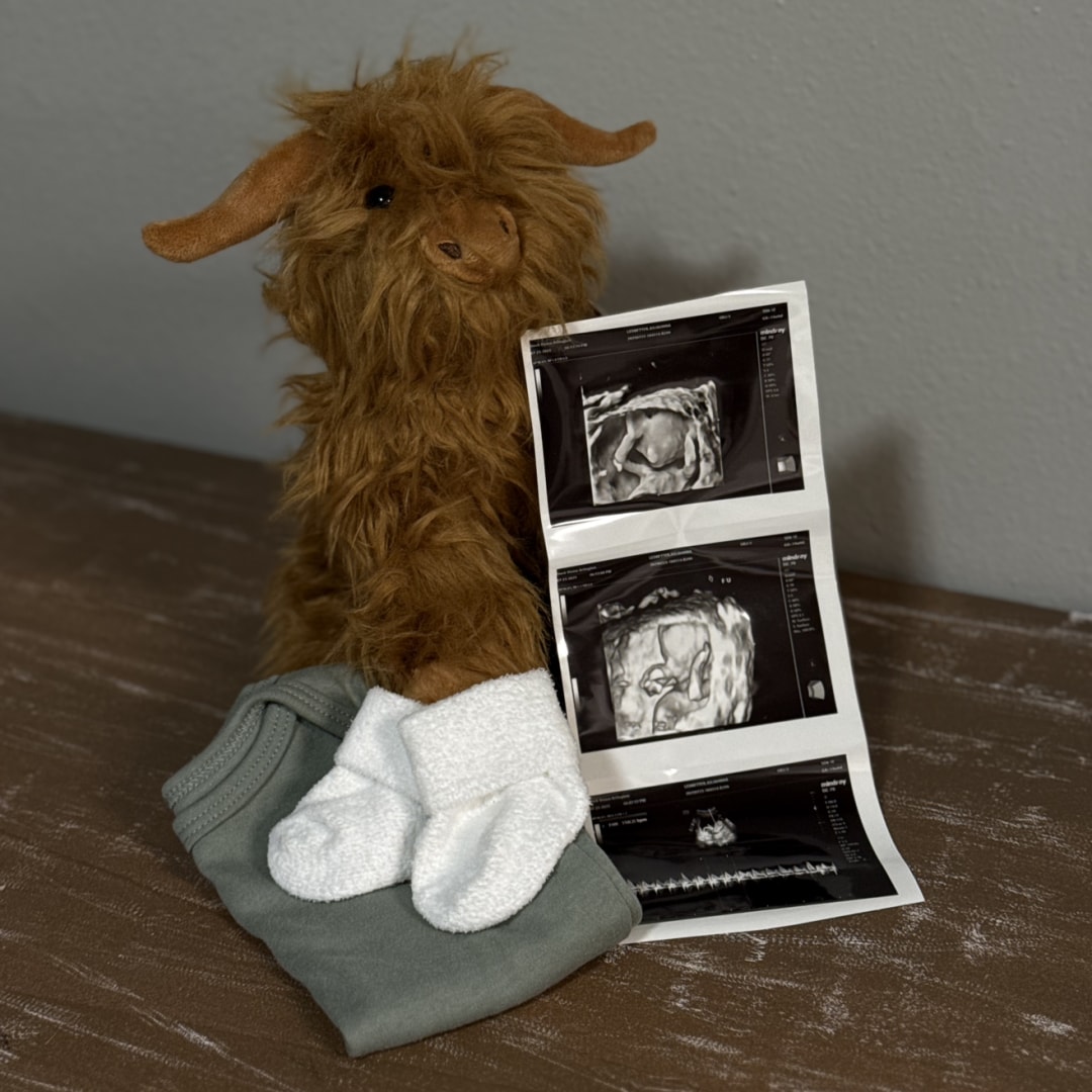 Photo shared by Juliahnna for their Babylist baby registry.