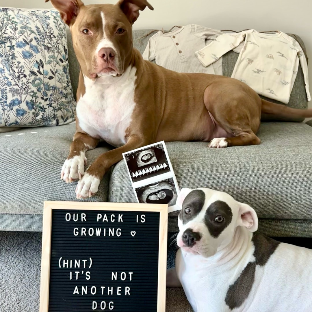 Photo shared by Laney for their Babylist baby registry.