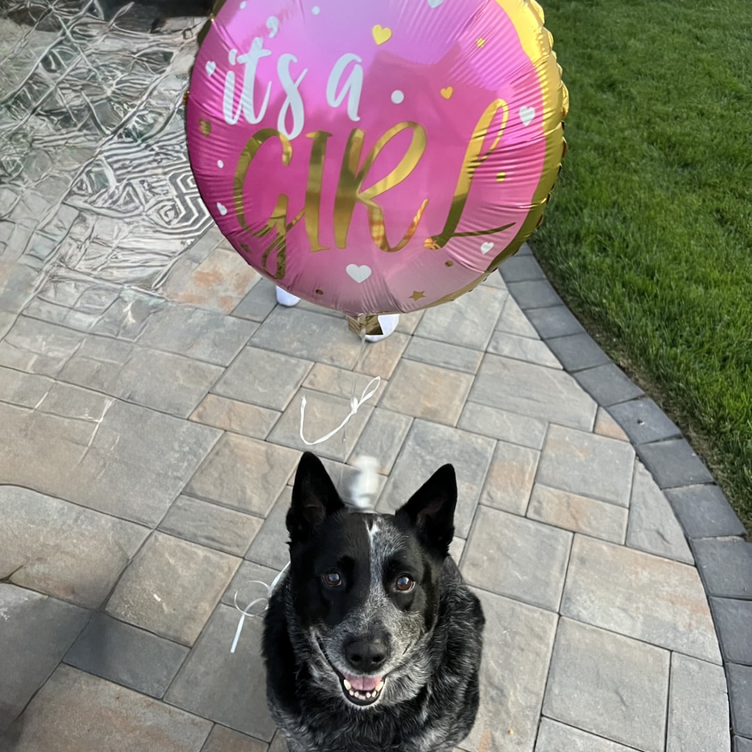 Photo shared by Cammie for their Babylist baby registry.