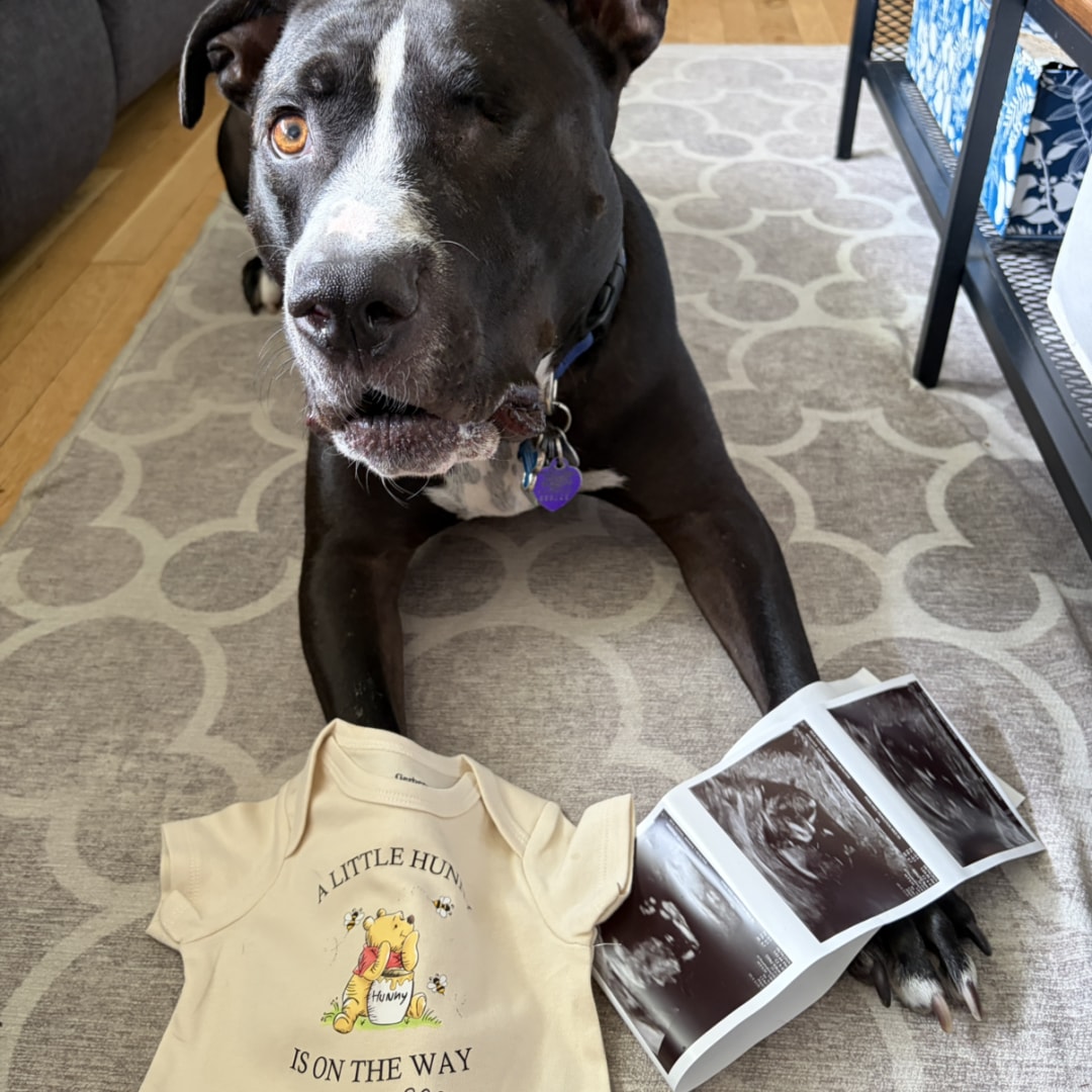 Photo shared by Amanda for their Babylist baby registry.