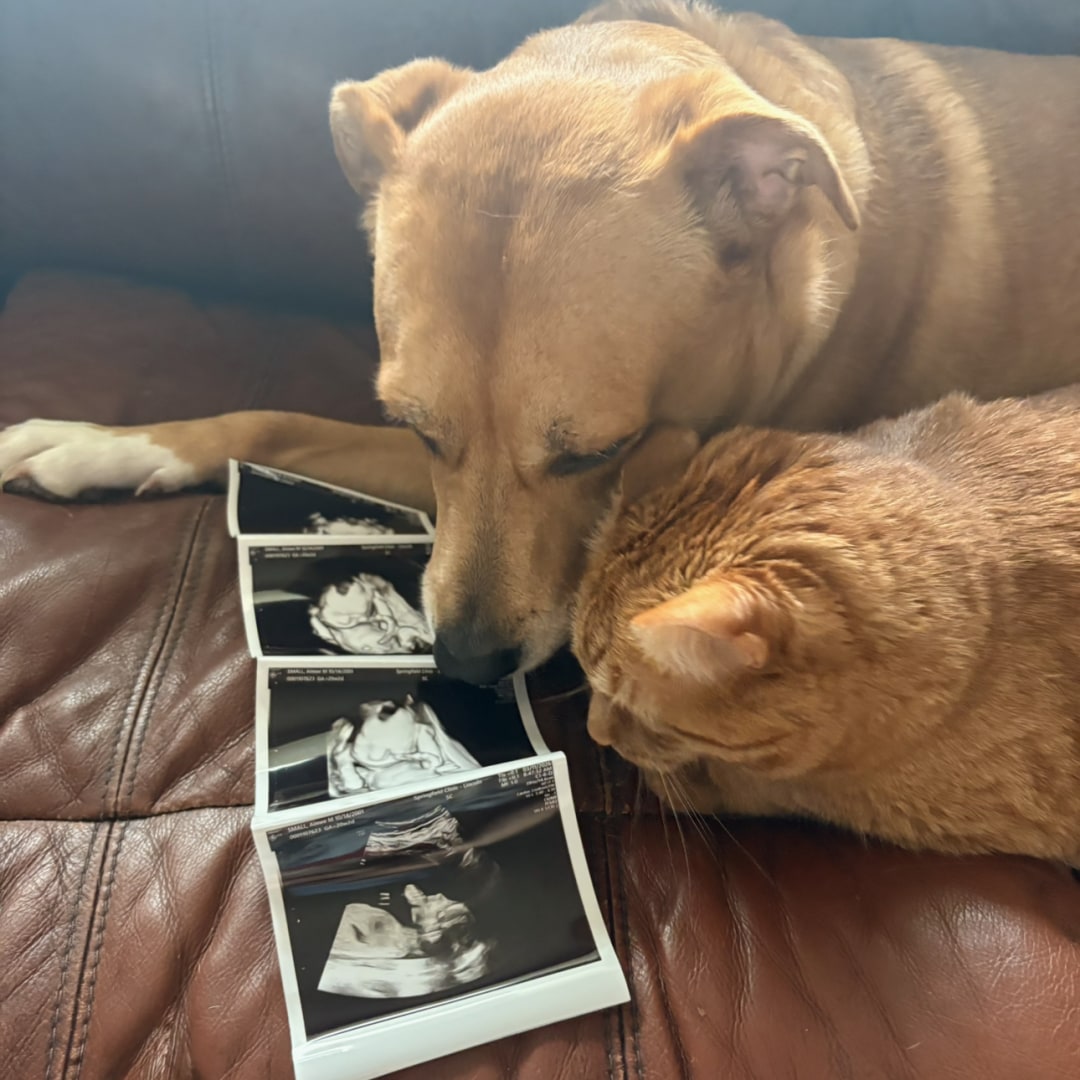 Photo shared by Aimee for their Babylist baby registry.