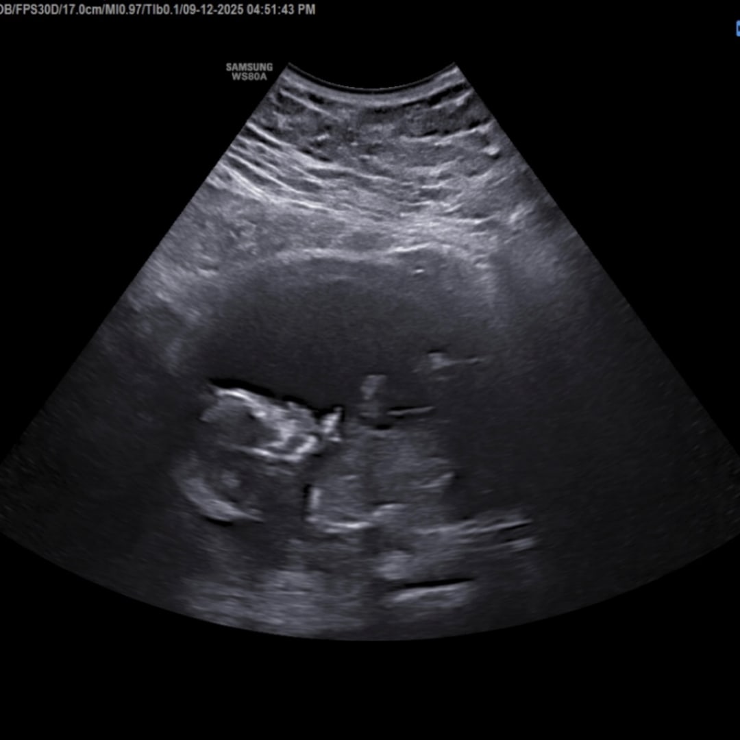 Photo shared by Jaayonnia for their Babylist baby registry.