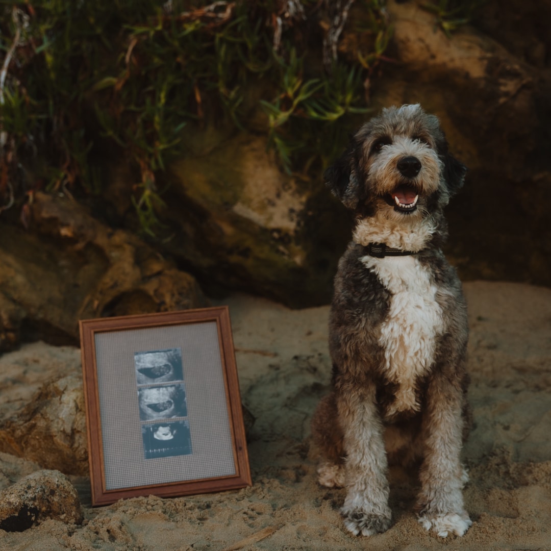 Photo shared by Emily for their Babylist baby registry.