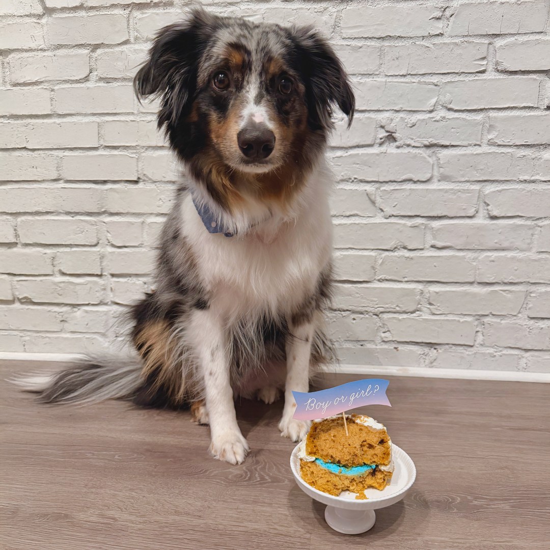 Photo shared by Cindy for their Babylist baby registry.