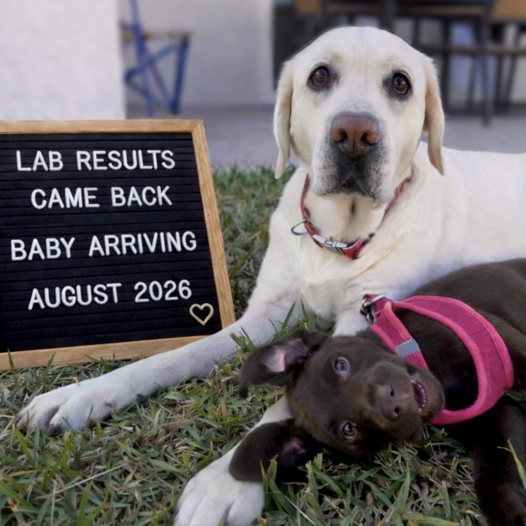 Photo shared by Bree for their Babylist baby registry.