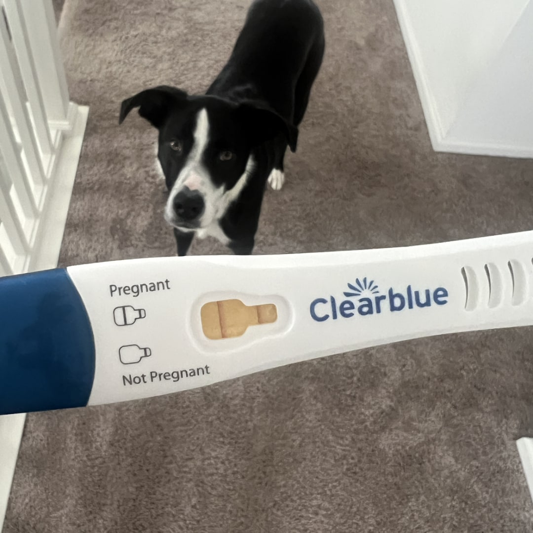 Photo shared by Shelby for their Babylist baby registry.