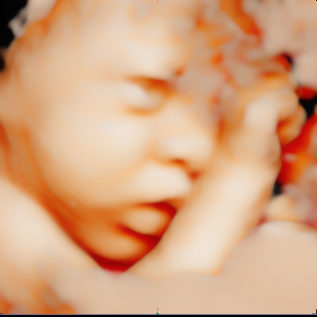 Photo shared by Sepideh for their Babylist baby registry.
