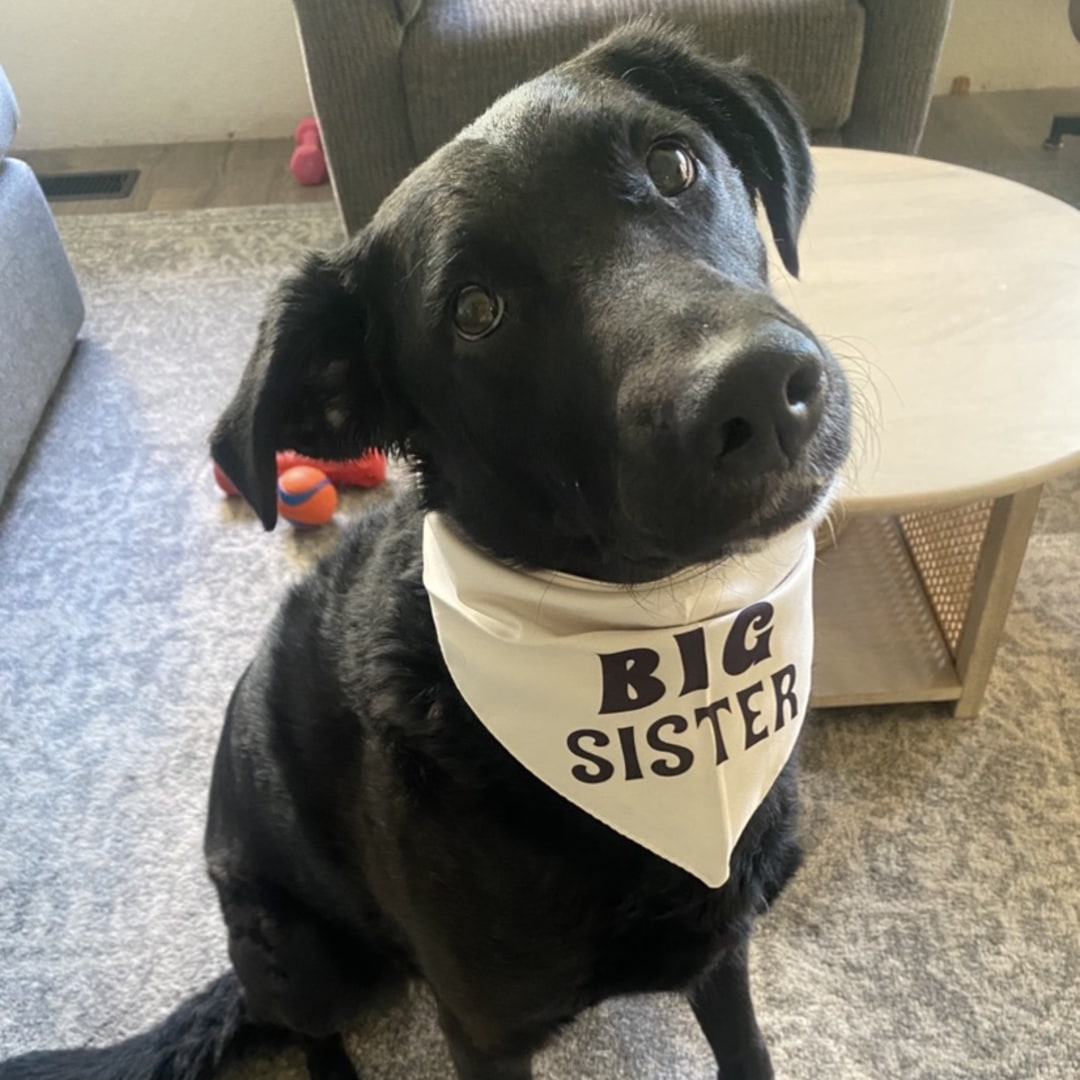 Photo shared by Olivia for their Babylist baby registry.