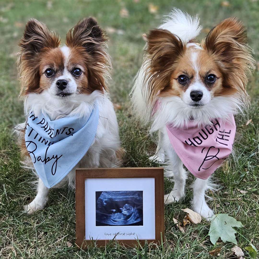 Photo shared by Morgan for their Babylist baby registry.