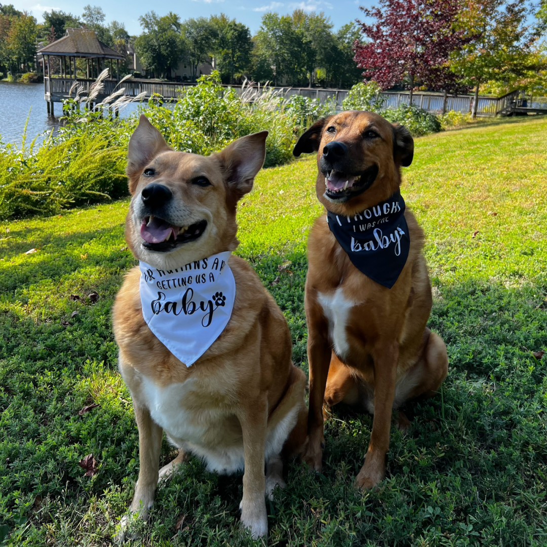 Photo shared by Ali for their Babylist baby registry.