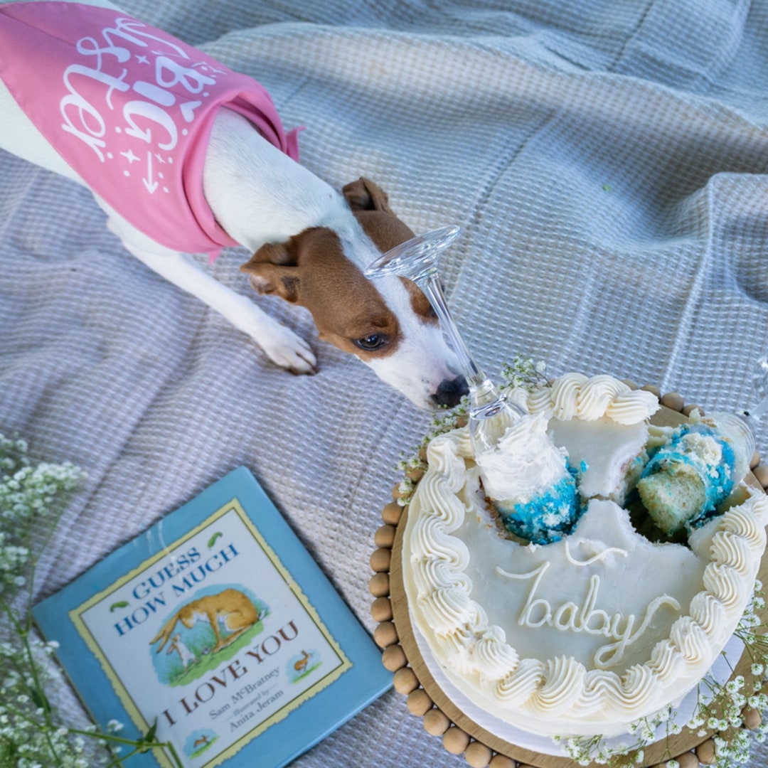 Photo shared by Liz for their Babylist baby registry.