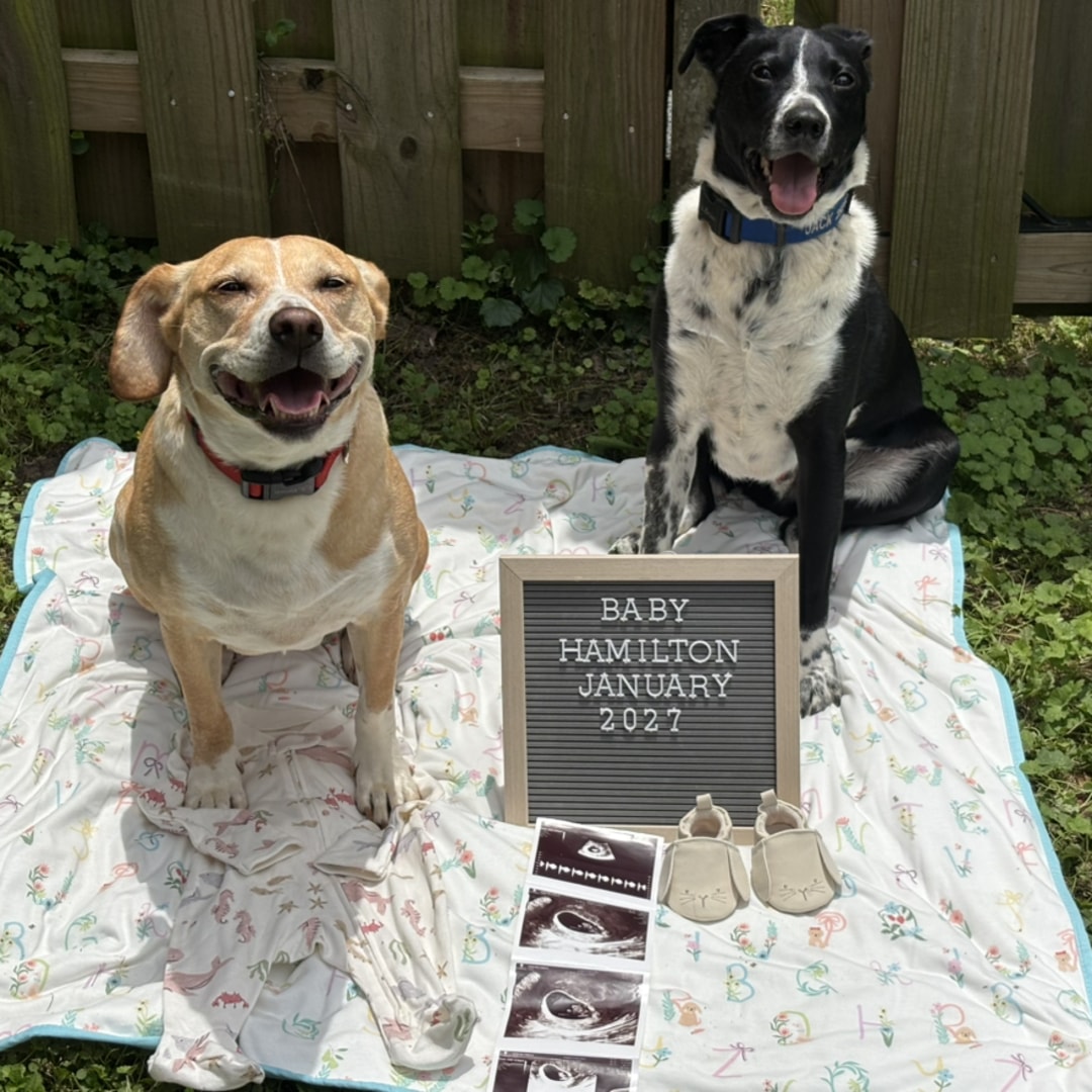 Photo shared by Isabella for their Babylist baby registry.