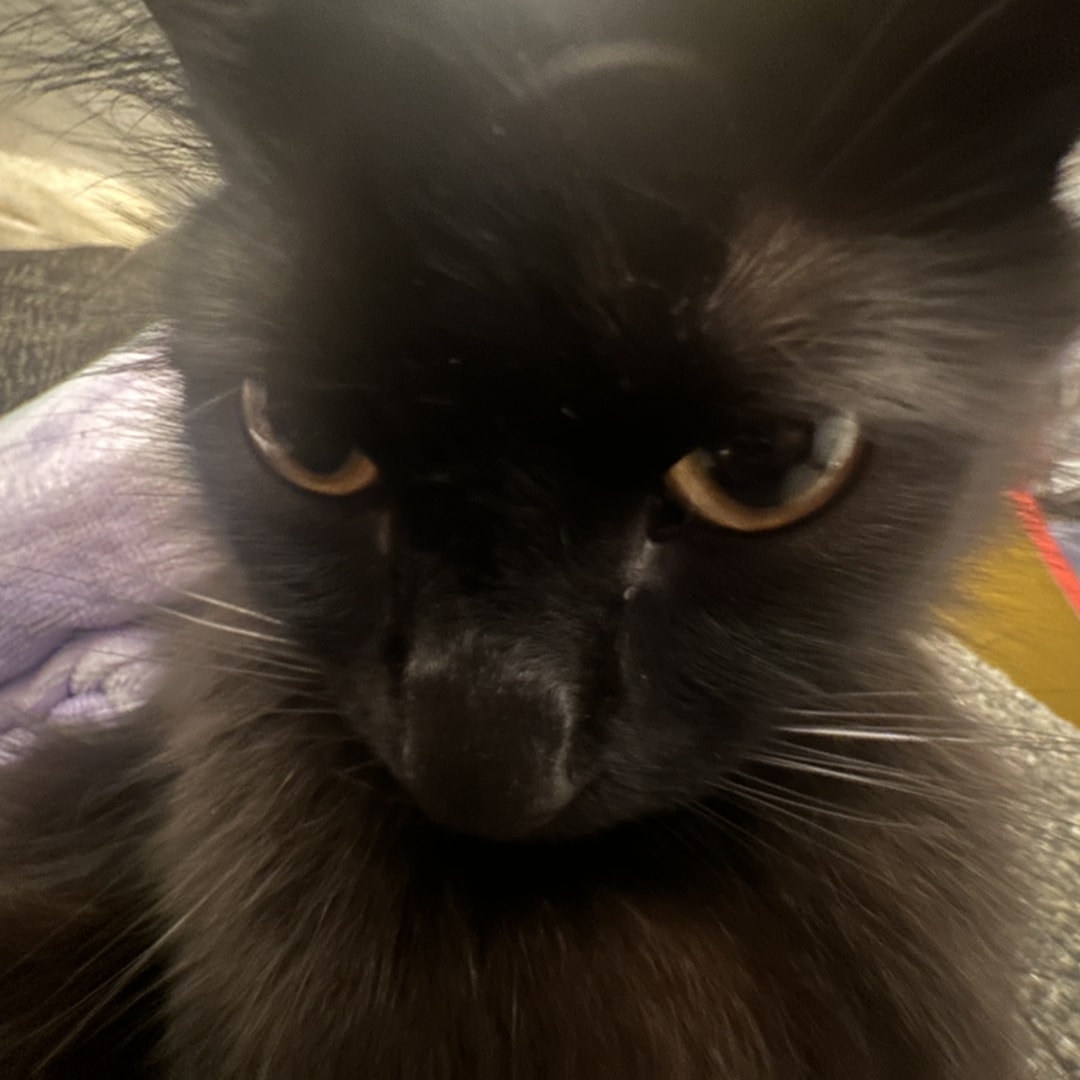 Photo shared by Jasmin for their Babylist baby registry.