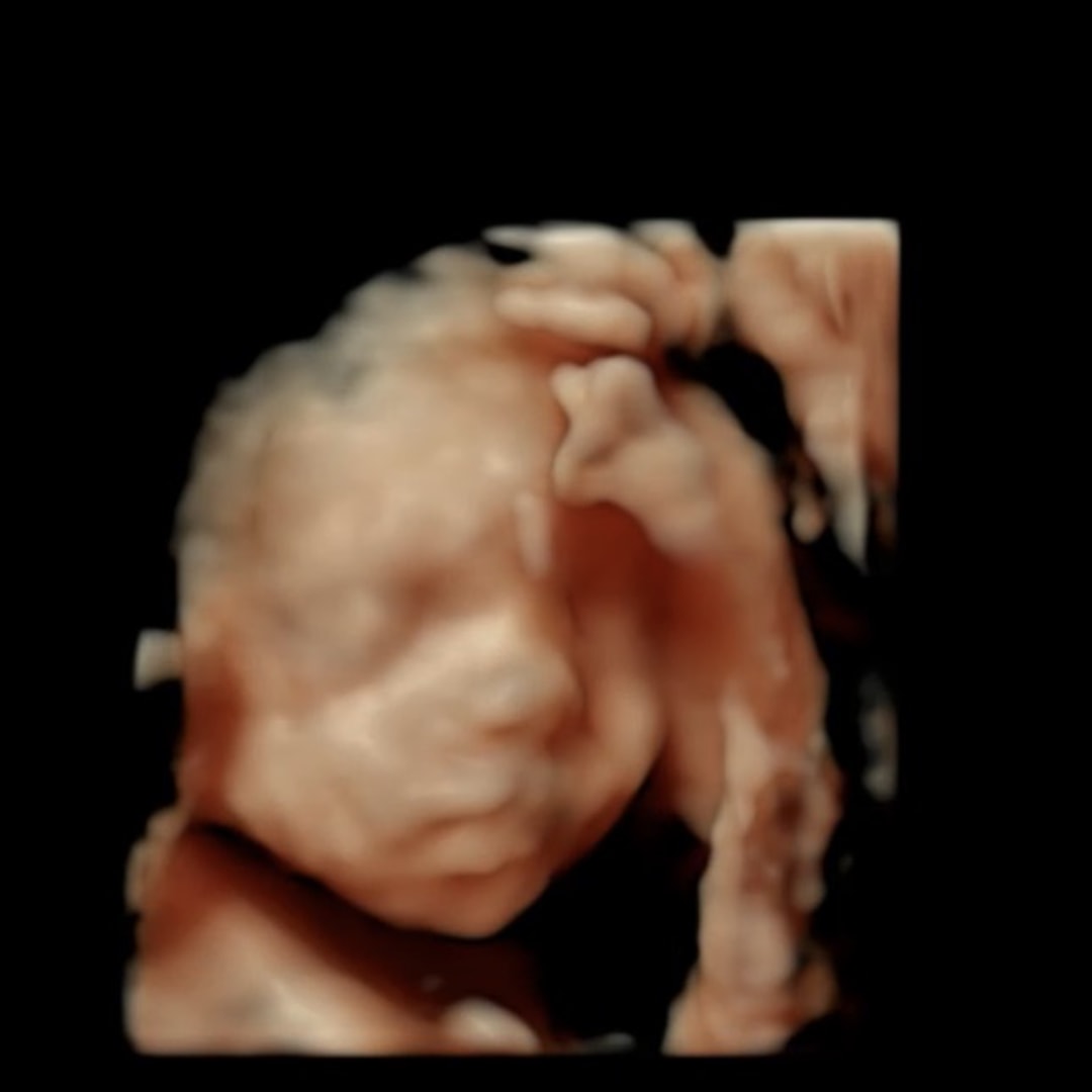 Photo shared by Claire and Nathaniel for their Babylist baby registry.