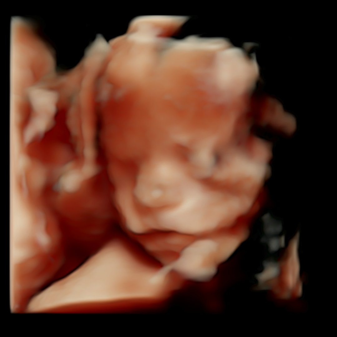 Photo shared by Paige for their Babylist baby registry.