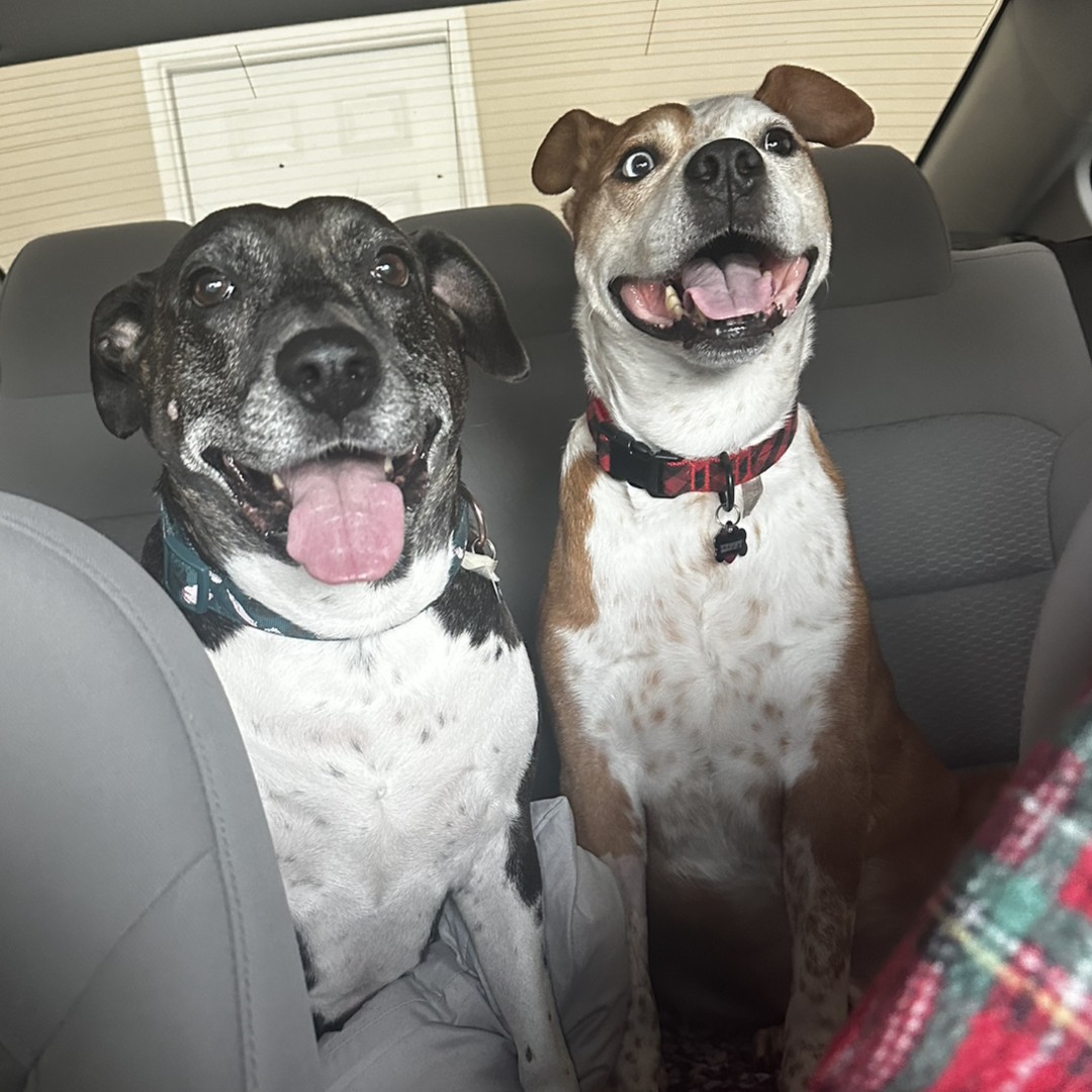 Photo shared by Kailey for their Babylist baby registry.