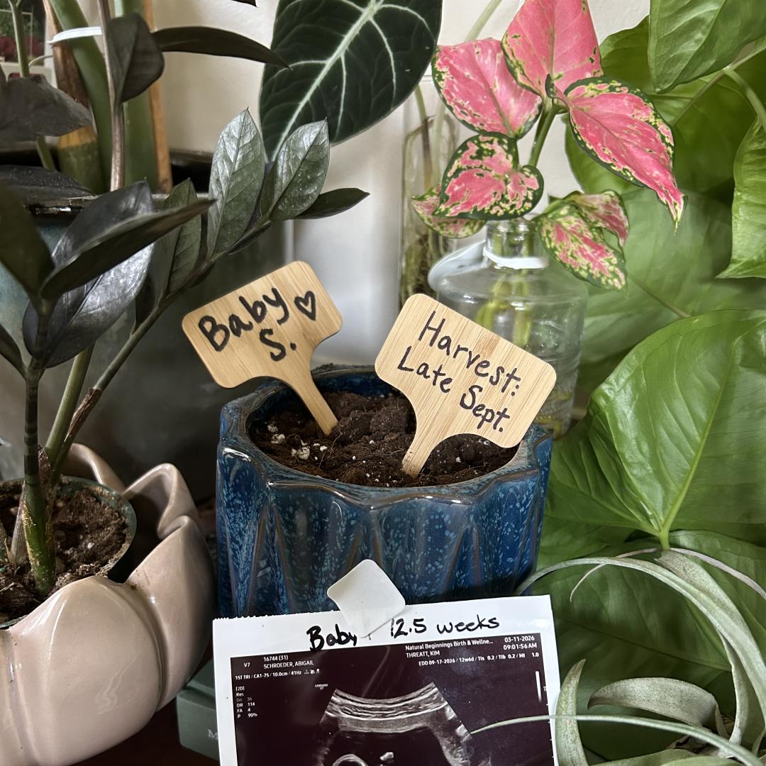 Photo shared by Abby for their Babylist baby registry.
