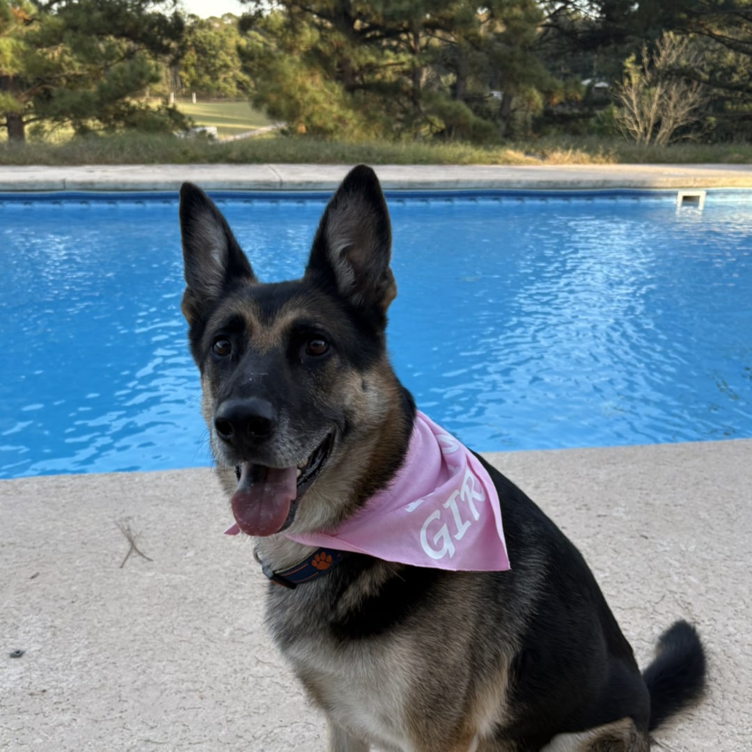 Photo shared by Faith for their Babylist baby registry.