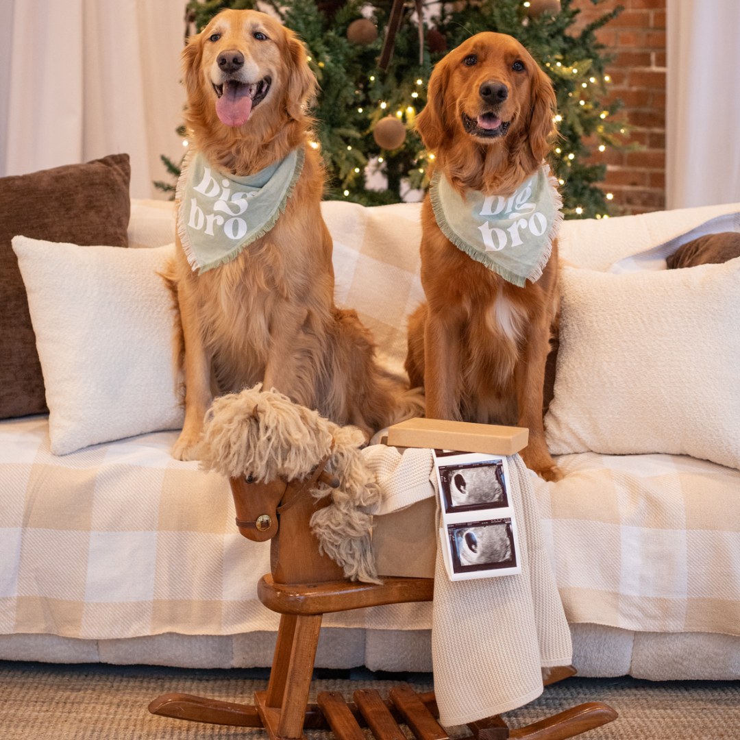 Photo shared by Madelyn for their Babylist baby registry.