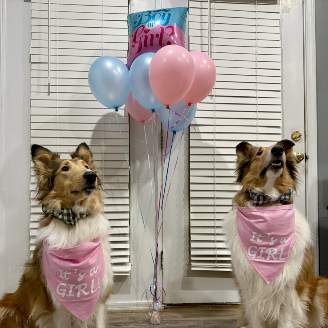 Photo shared by Shaleena for their Babylist baby registry.