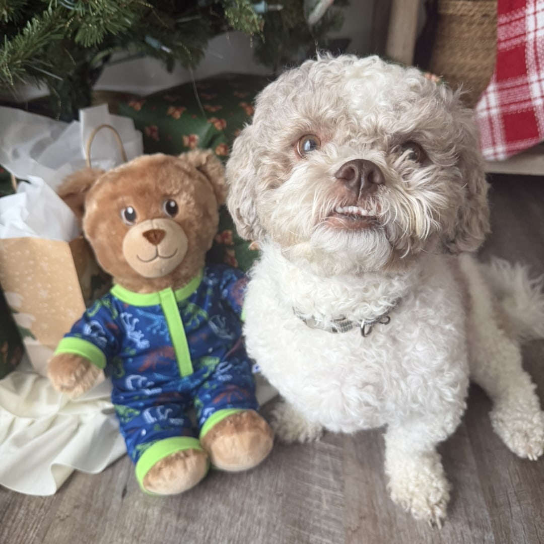 Photo shared by Char-leigh for their Babylist baby registry.