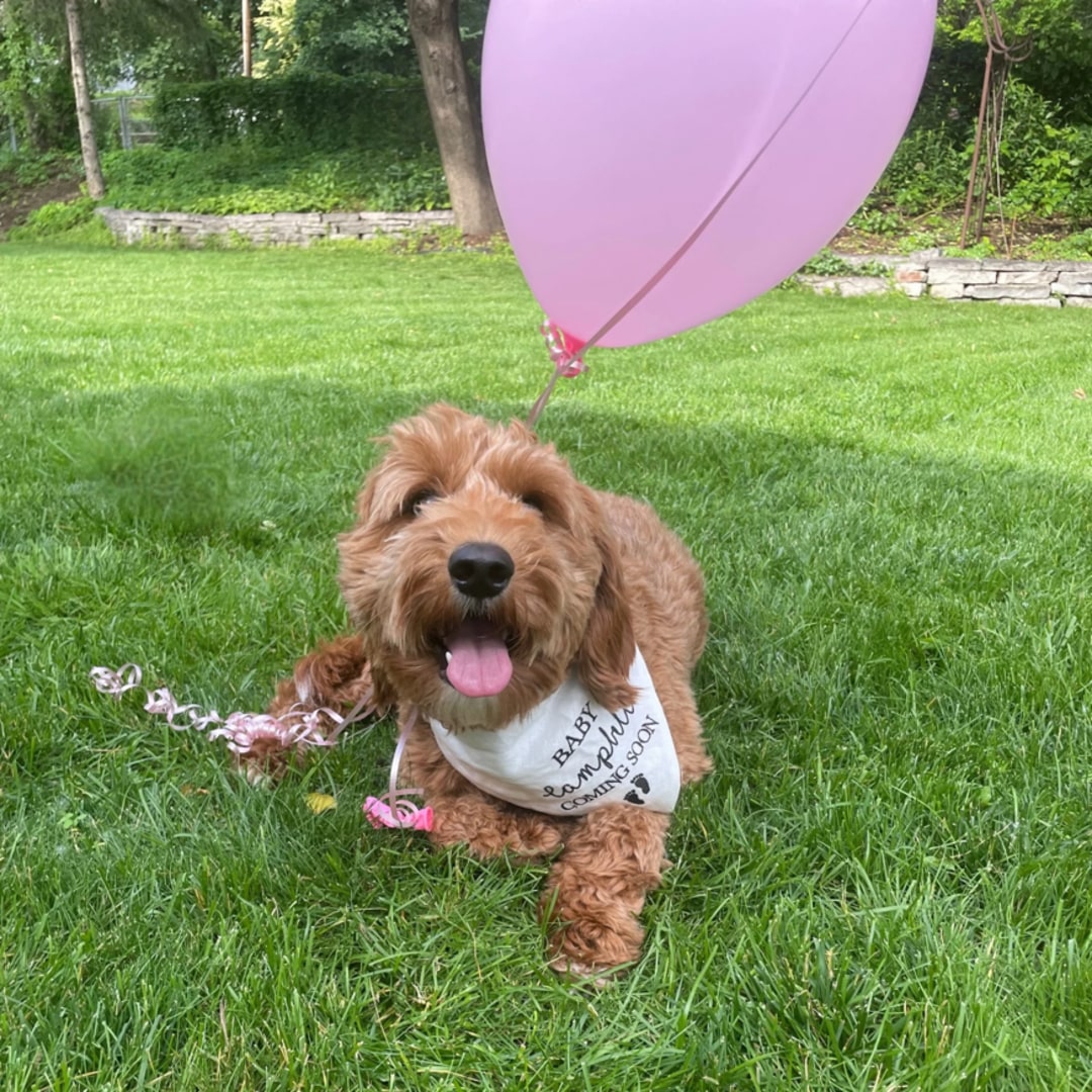 Photo shared by Molly for their Babylist baby registry.