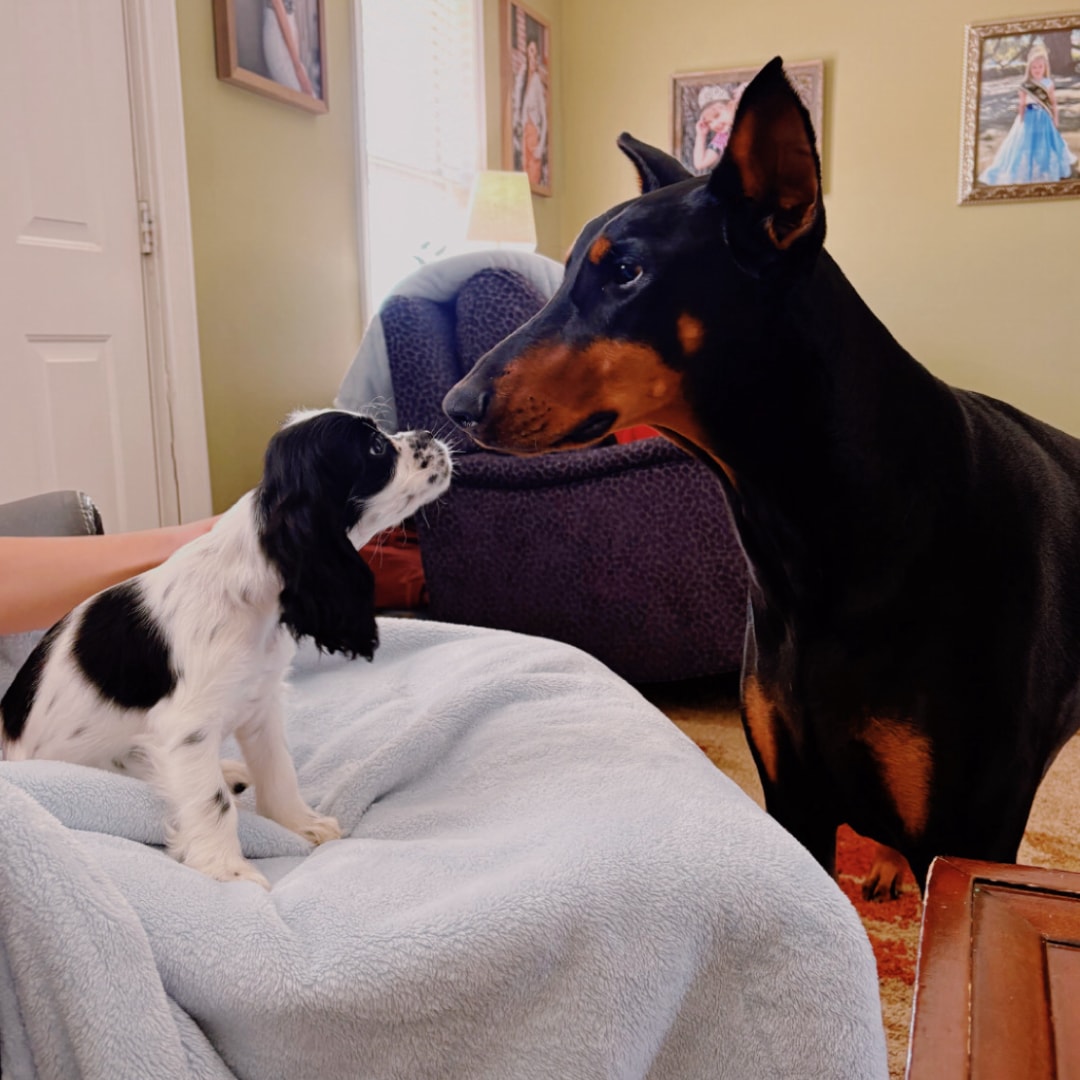 Photo shared by Addisyn for their Babylist baby registry.