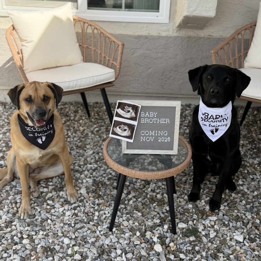 Photo shared by Erin for their Babylist baby registry.