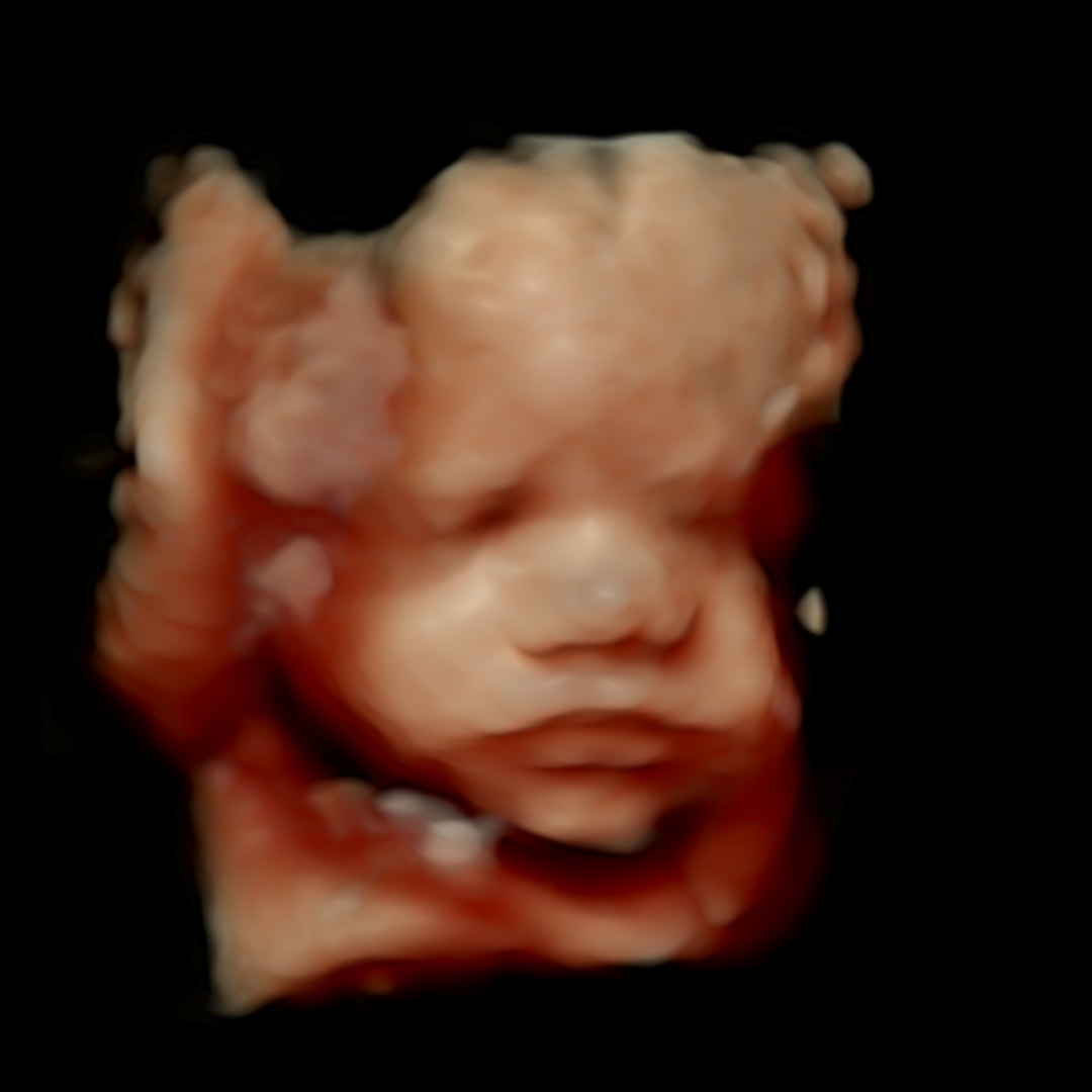 Photo shared by Amanda for their Babylist baby registry.