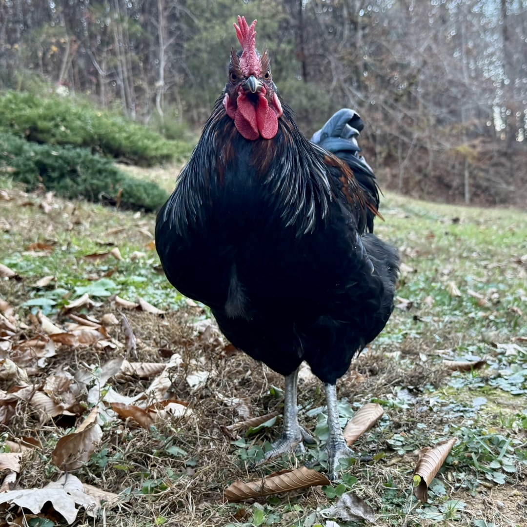 Photo shared by Chantal for their Babylist baby registry.