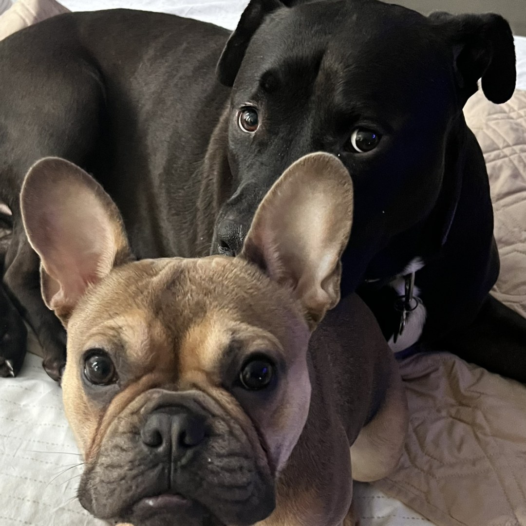 Photo shared by Lauren for their Babylist baby registry.