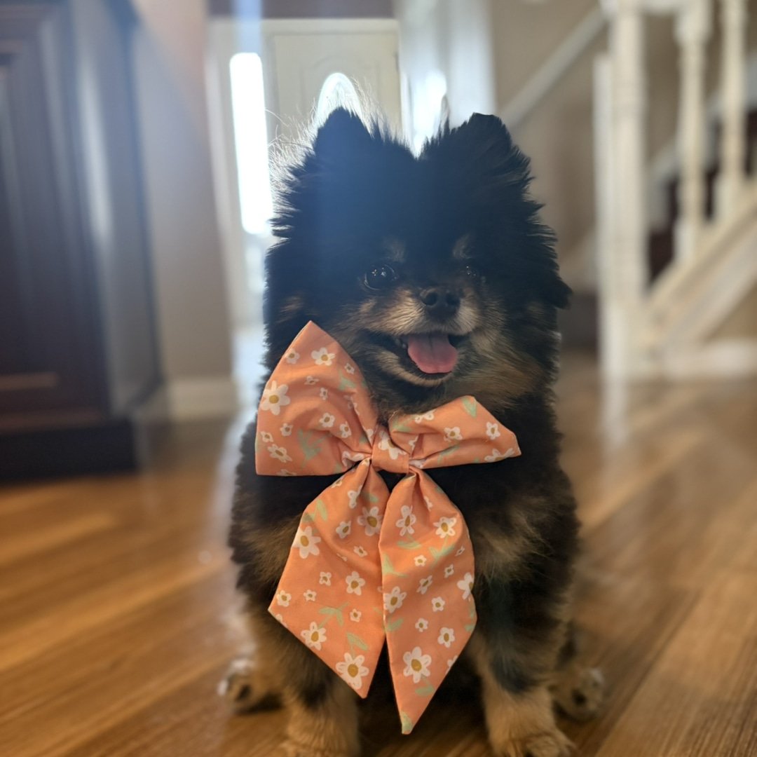 Photo shared by Joscelyn for their Babylist baby registry.