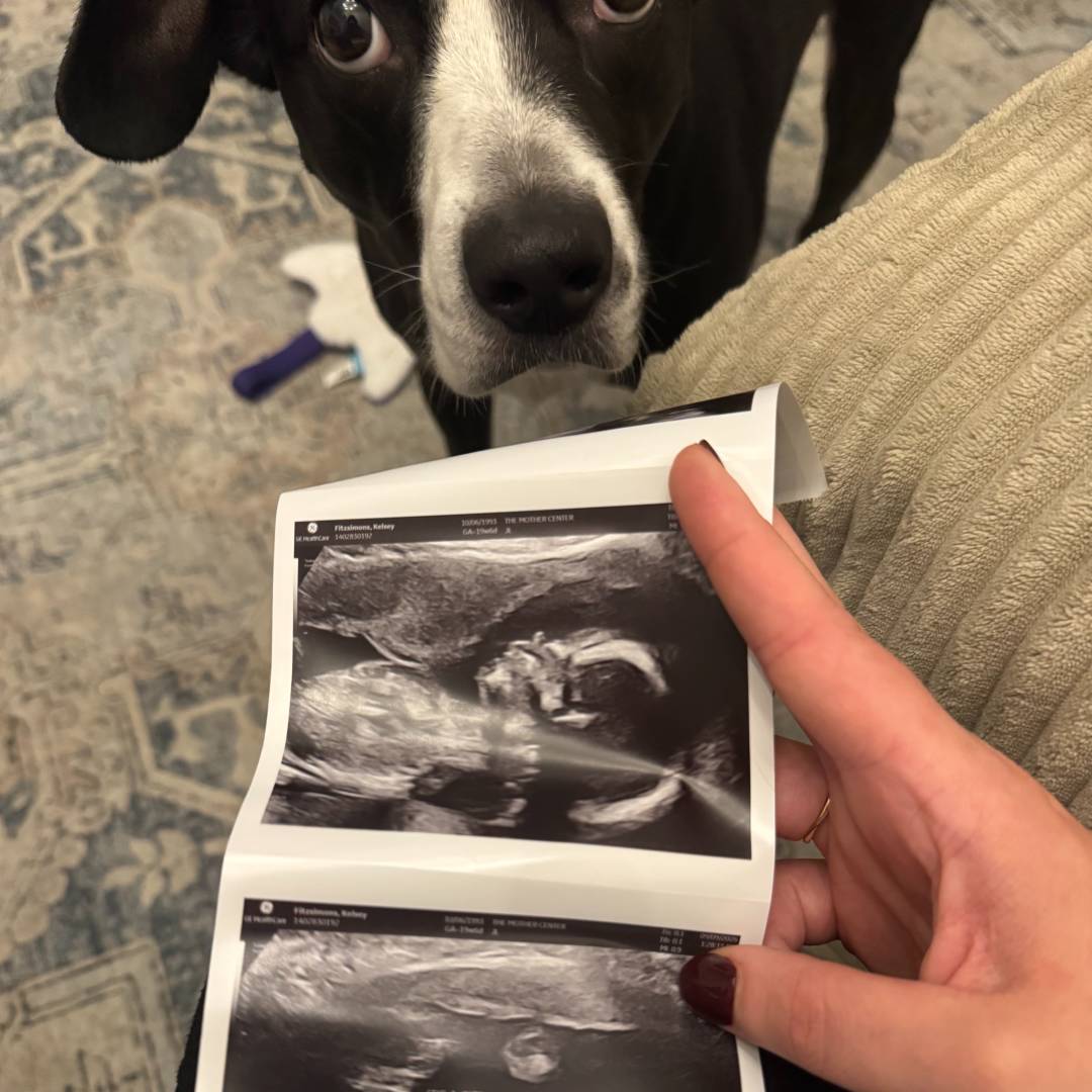 Photo shared by Kelsey for their Babylist baby registry.