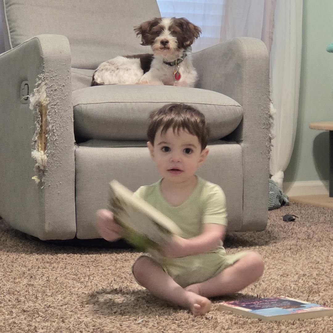 Photo shared by Rieddhi for their Babylist baby registry.