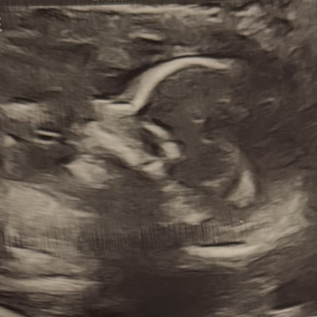 Photo shared by Jizelle for their Babylist baby registry.