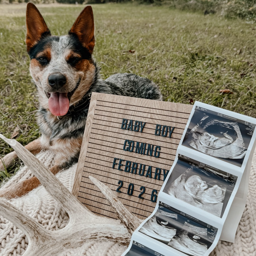 Photo shared by Tayla for their Babylist baby registry.