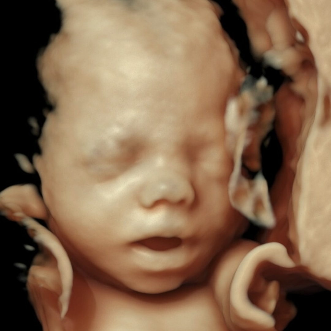 Photo shared by Samantha for their Babylist baby registry.