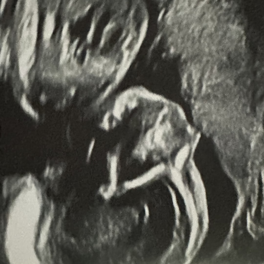 Photo shared by Victoria for their Babylist baby registry.