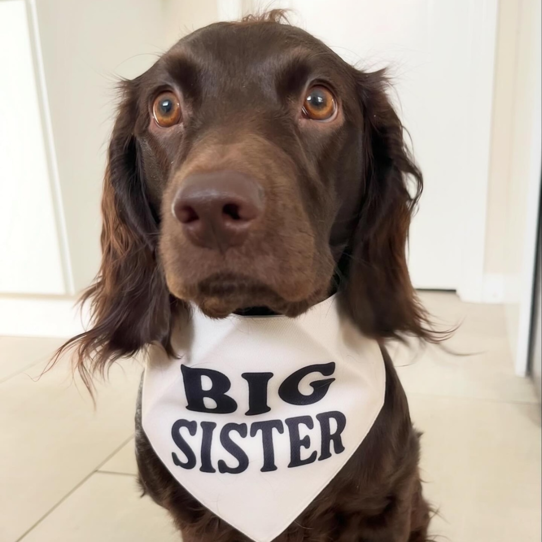 Photo shared by Christy for their Babylist baby registry.