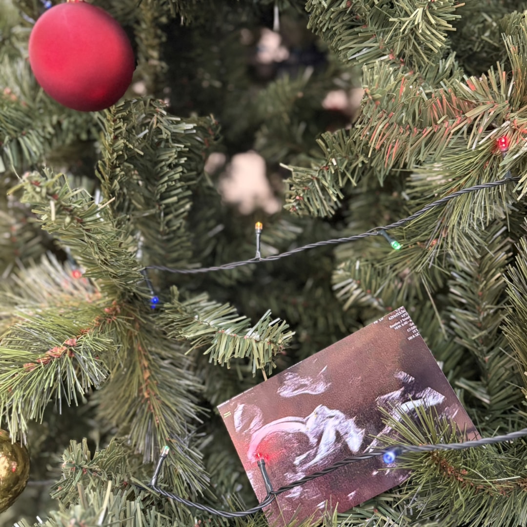 Photo shared by Skye for their Babylist baby registry.