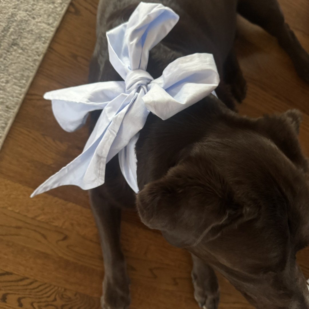 Photo shared by Taylor for their Babylist baby registry.