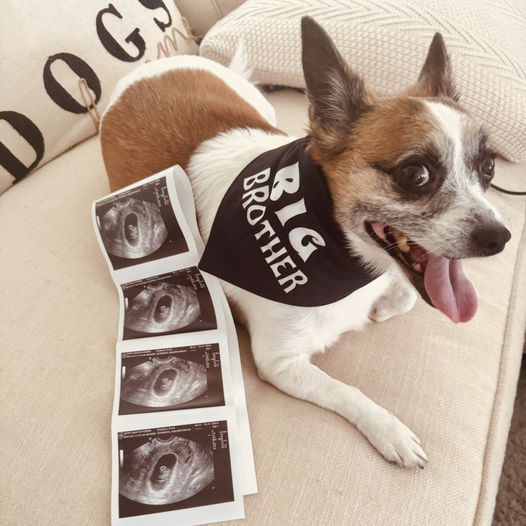 Photo shared by Averi for their Babylist baby registry.