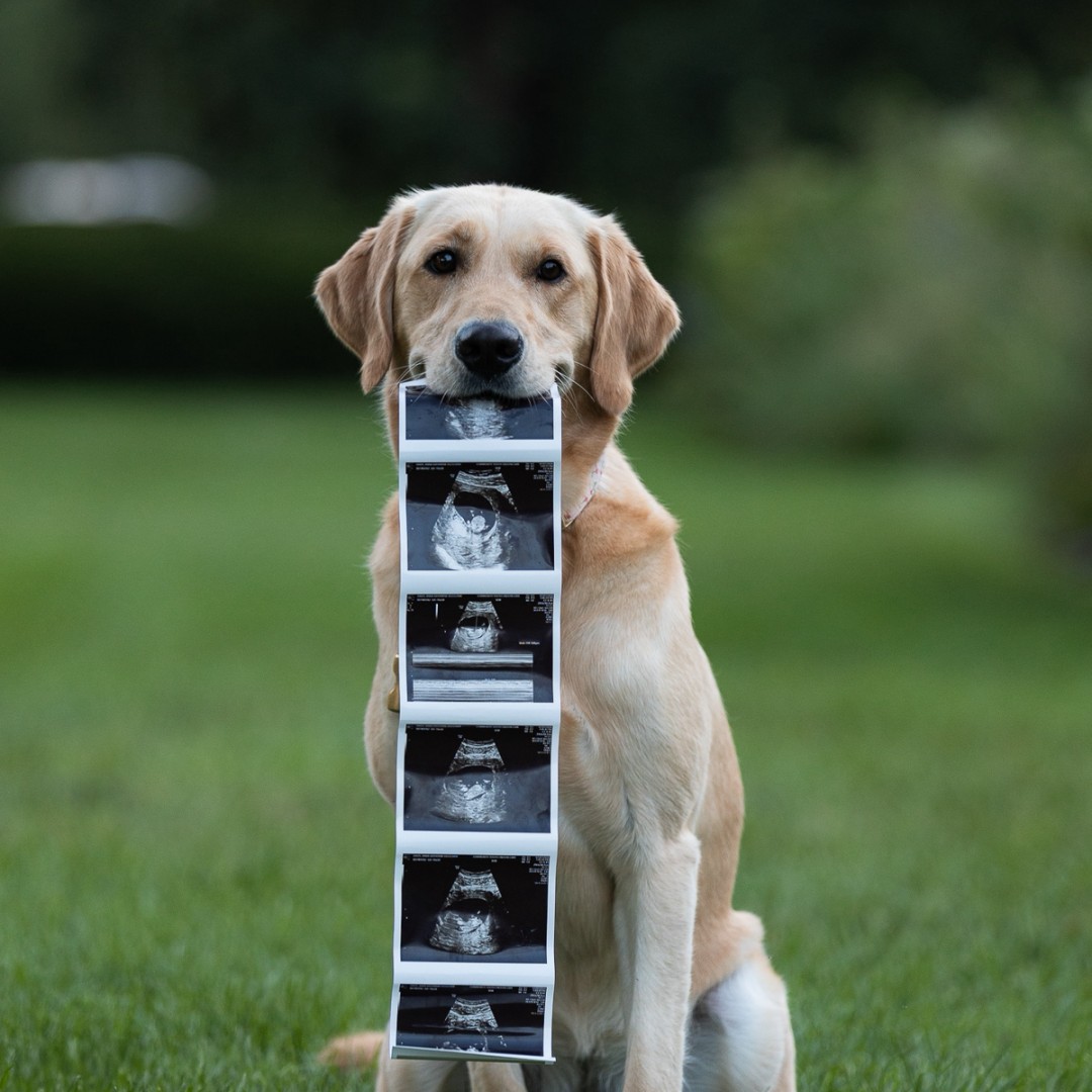Photo shared by Anna Katherine for their Babylist baby registry.
