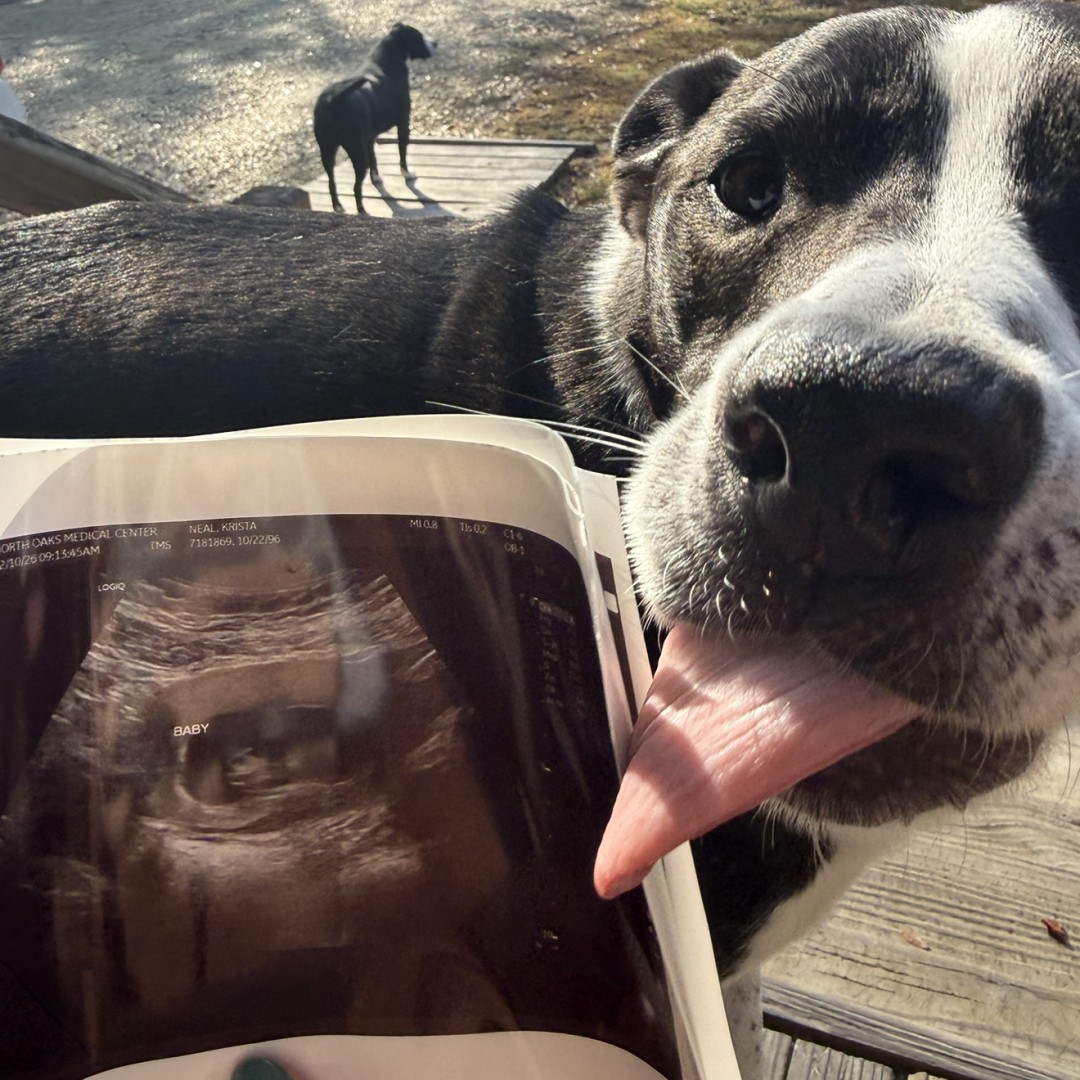 Photo shared by Krista for their Babylist baby registry.