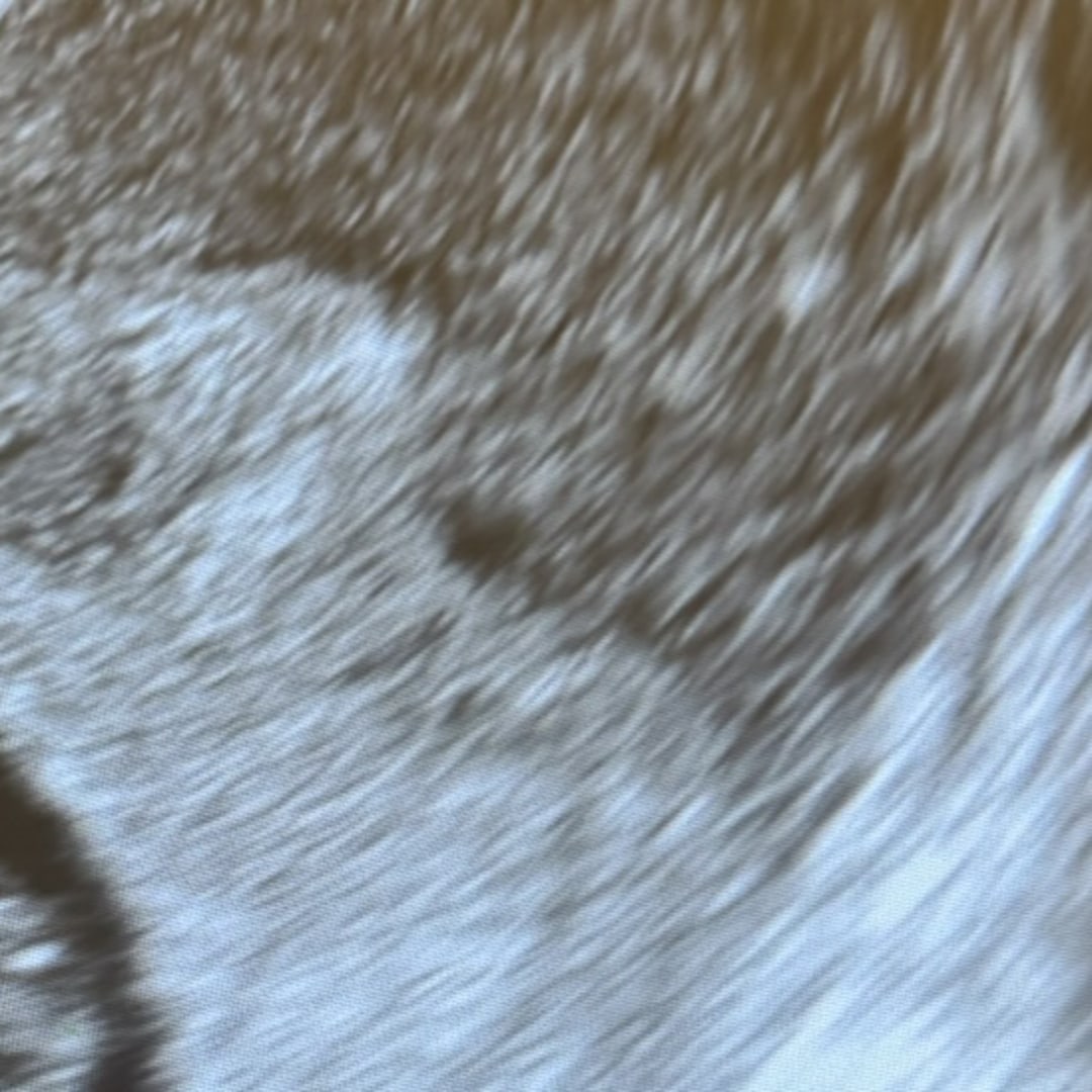 Photo shared by Neverlin for their Babylist baby registry.